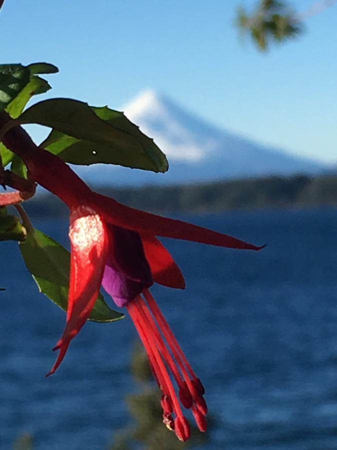 Cabanas Puerto Chalhuaco Puerto Varas Zewnętrze zdjęcie