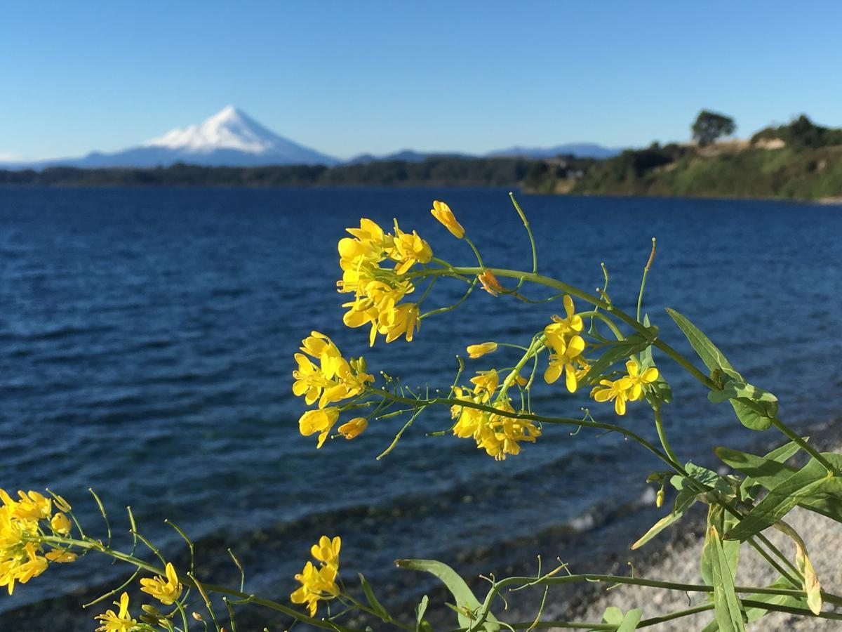 Cabanas Puerto Chalhuaco Puerto Varas Zewnętrze zdjęcie